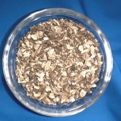 Angélique