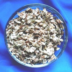 Jasmin